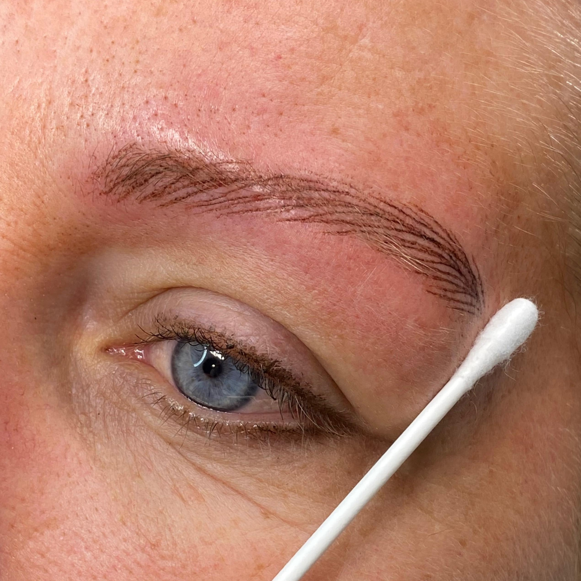 Cejas pelo a pelo — Colección de resultados de micropigmentación de cejas, labios y eyeliner